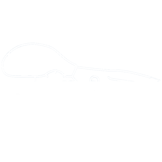 Custom kitchen scissors icon